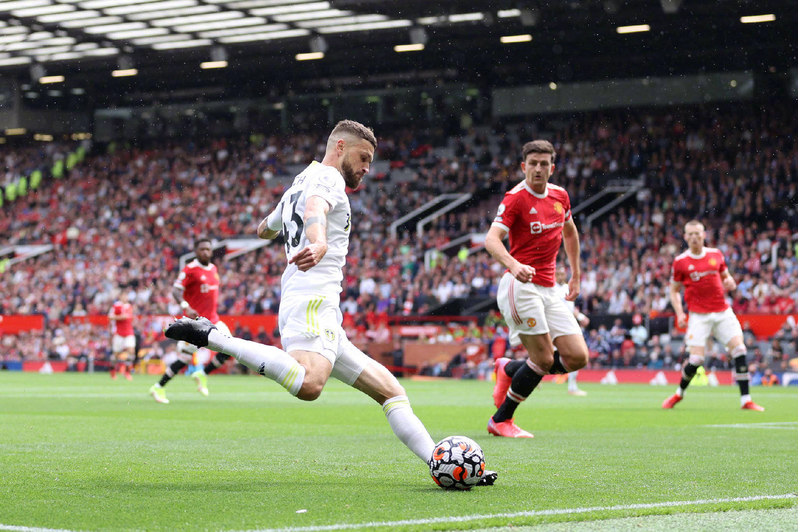 更是对他在 更是对他在